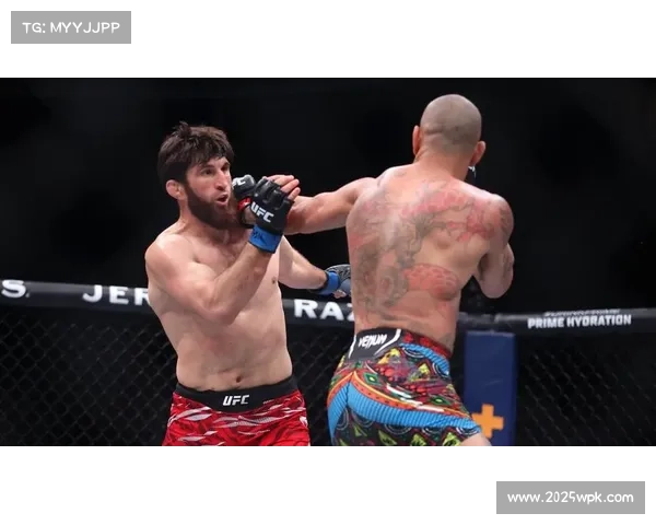 佩雷拉轻重量级二番战速杀安卡拉耶夫成功复仇夺回冠军荣耀